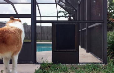 Pool screen equipped with a pet door.